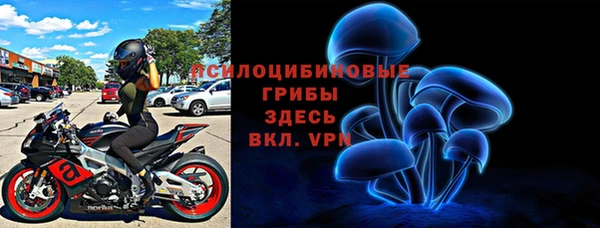 гашик Алзамай